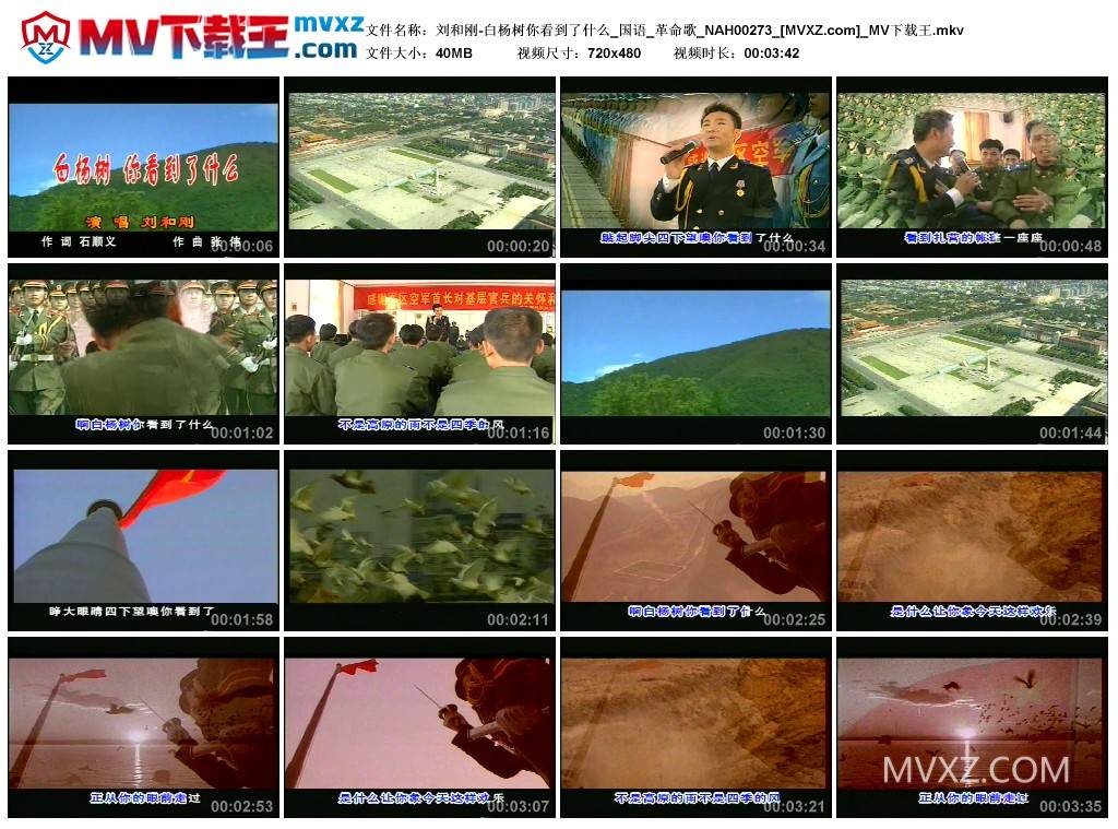 刘和刚-白杨树你看到了什么_国语_革命歌_NAH00273